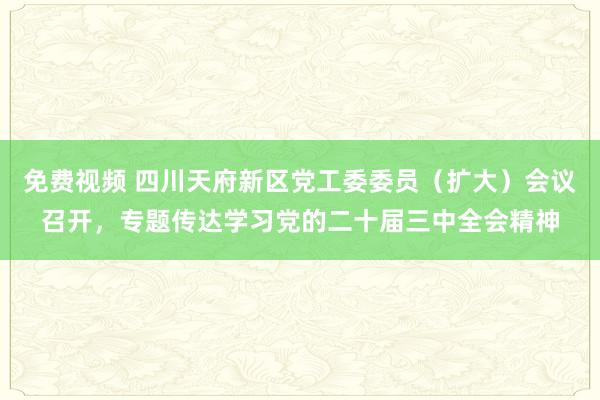 免费视频 四川天府新区党工委委员（扩大）会议召开，专题传达学习党的二十届三中全会精神