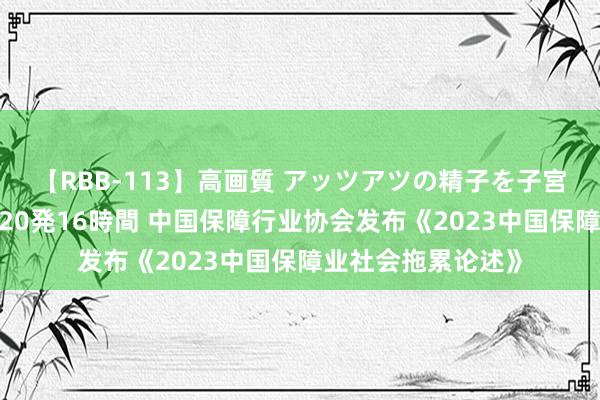 【RBB-113】高画質 アッツアツの精子を子宮に孕ませ中出し120発16時間 中国保障行业协会发布《2023中国保障业社会拖累论述》