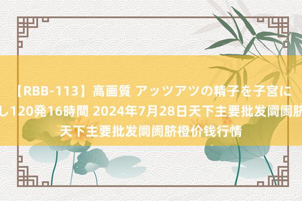 【RBB-113】高画質 アッツアツの精子を子宮に孕ませ中出し120発16時間 2024年7月28日天下主要批发阛阓脐橙价钱行情