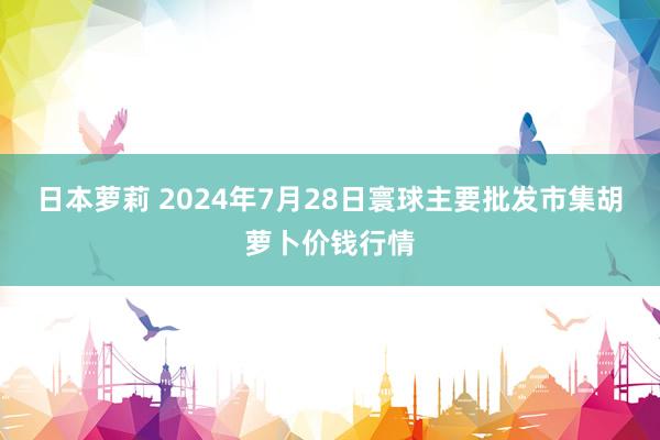 日本萝莉 2024年7月28日寰球主要批发市集胡萝卜价钱行情