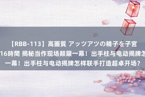 【RBB-113】高画質 アッツアツの精子を子宮に孕ませ中出し120発16時間 揭秘当作现场颠簸一幕！出手柱与电动揭牌怎样联手打造超卓开场？