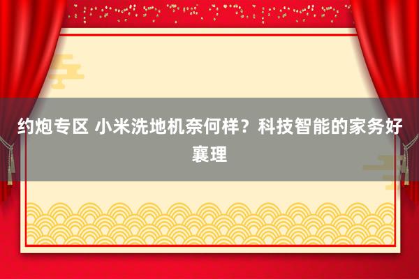 约炮专区 小米洗地机奈何样？科技智能的家务好襄理