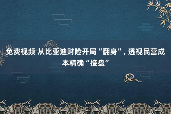 免费视频 从比亚迪财险开局“翻身”， 透视民营成本精确“接盘”