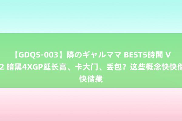 【GDQS-003】隣のギャルママ BEST5時間 Vol.2 暗黑4XGP延长高、卡大门、丢包？这些概念快快储藏