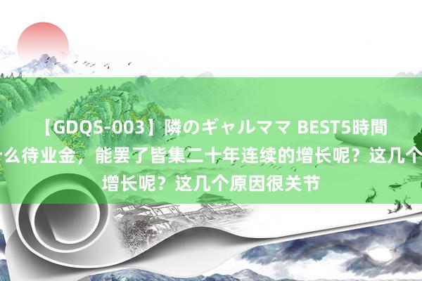 【GDQS-003】隣のギャルママ BEST5時間 Vol.2 为什么待业金，能罢了皆集二十年连续的增长呢？这几个原因很关节