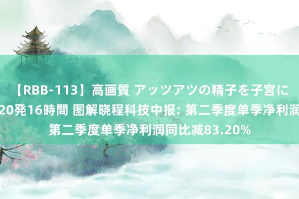 【RBB-113】高画質 アッツアツの精子を子宮に孕ませ中出し120発16時間 图解晓程科技中报: 第二季度单季净利润同比减83.20%