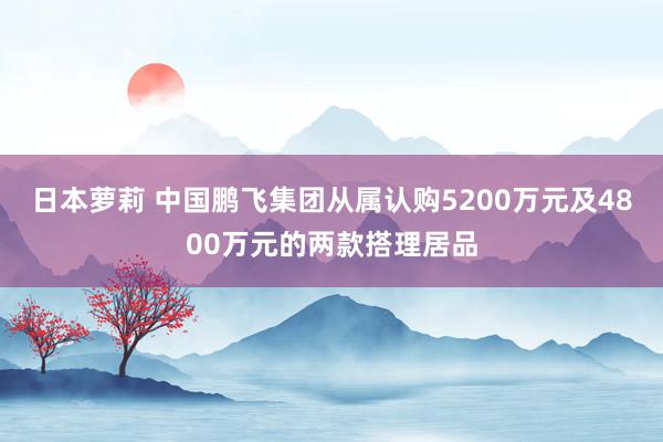 日本萝莉 中国鹏飞集团从属认购5200万元及4800万元的两款搭理居品