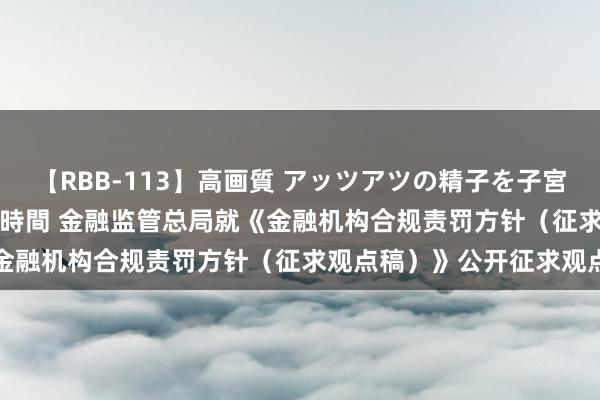 【RBB-113】高画質 アッツアツの精子を子宮に孕ませ中出し120発16時間 金融监管总局就《金融机构合规责罚方针（征求观点稿）》公开征求观点