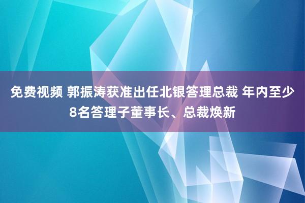 免费视频 郭振涛获准出任北银答理总裁 年内至少8名答理子董事长、总裁焕新