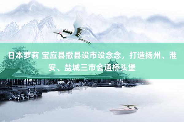 日本萝莉 宝应县撤县设市设念念，打造扬州、淮安、盐城三市会通桥头堡