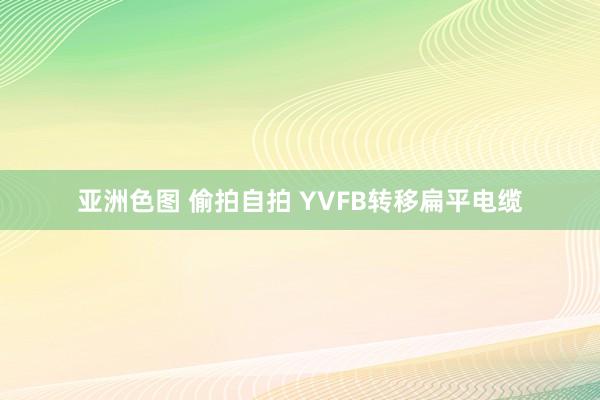 亚洲色图 偷拍自拍 YVFB转移扁平电缆