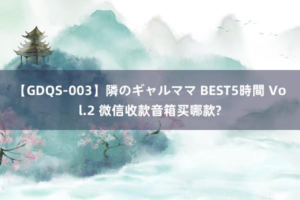 【GDQS-003】隣のギャルママ BEST5時間 Vol.2 微信收款音箱买哪款?