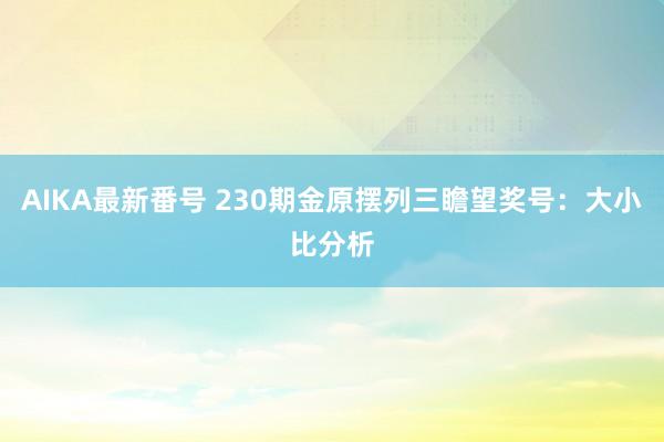 AIKA最新番号 230期金原摆列三瞻望奖号：大小比分析