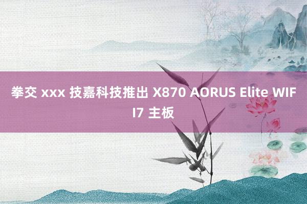 拳交 xxx 技嘉科技推出 X870 AORUS Elite WIFI7 主板