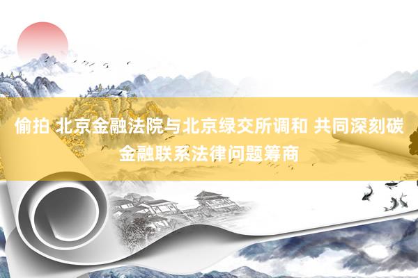 偷拍 北京金融法院与北京绿交所调和 共同深刻碳金融联系法律问题筹商