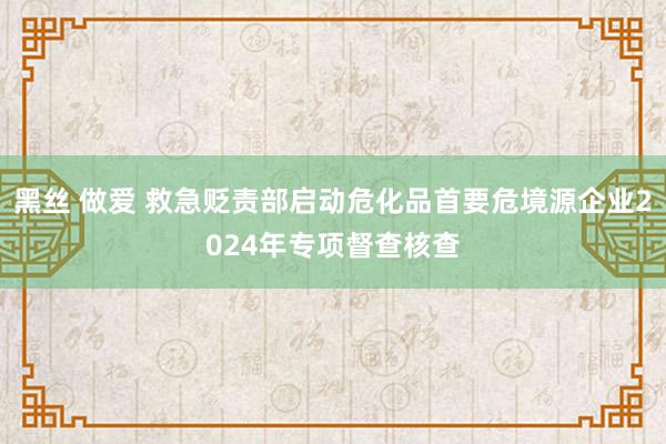 黑丝 做爱 救急贬责部启动危化品首要危境源企业2024年专项督查核查