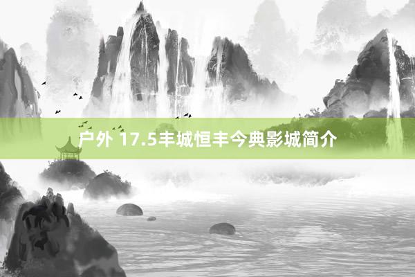 户外 17.5丰城恒丰今典影城简介