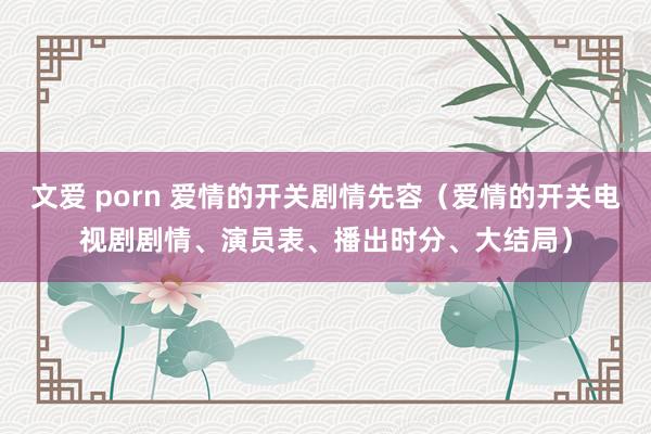 文爱 porn 爱情的开关剧情先容（爱情的开关电视剧剧情、演员表、播出时分、大结局）