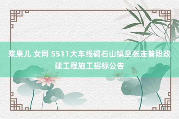 浆果儿 女同 S511大车线碣石山镇至张连普段改建工程施工招标公告