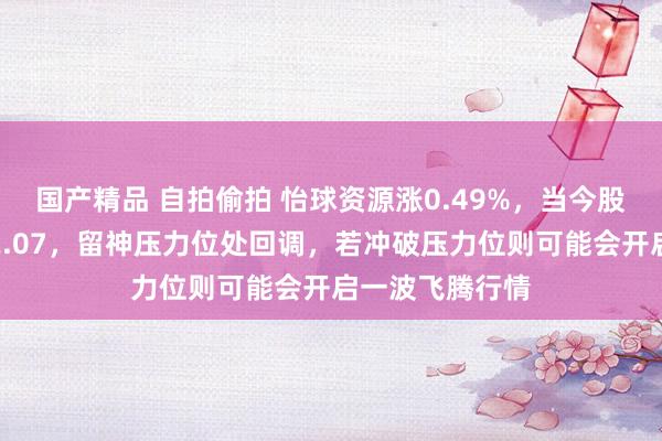 国产精品 自拍偷拍 怡球资源涨0.49%，当今股价围聚压力位2.07，留神压力位处回调，若冲破压力位则可能会开启一波飞腾行情