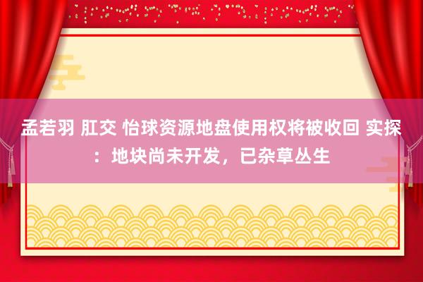 孟若羽 肛交 怡球资源地盘使用权将被收回 实探：地块尚未开发，已杂草丛生