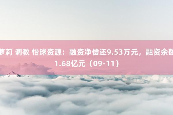 萝莉 调教 怡球资源：融资净偿还9.53万元，融资余额1.68亿元（09-11）