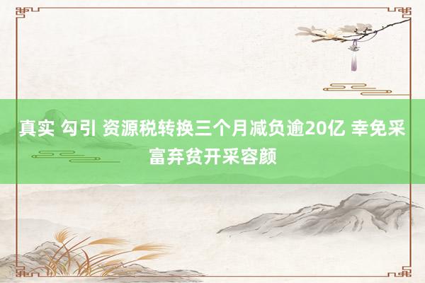 真实 勾引 资源税转换三个月减负逾20亿 幸免采富弃贫开采容颜